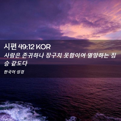 Picture 02 - 시편 49:12 KOR - 사람은 존귀하나 장구치 못함이여 - Bible Verse Picture