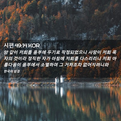 Picture 02 - 시편 49:14 KOR - 양 같이 저희를 음부에 두기로 - Bible Verse Picture