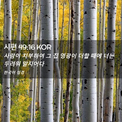 Picture 02 - 시편 49:16 KOR - 사람이 치부하여 그 집 영광이 더할 - Bible Verse Picture