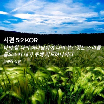Picture 02 - 시편 5:2 KOR - 나의 왕 나의 하나님이여 나의 - Bible Verse Picture