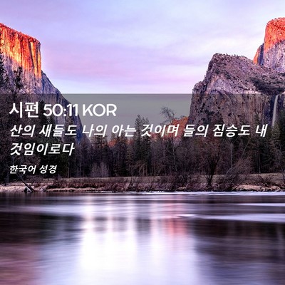 Picture 02 - 시편 50:11 KOR - 산의 새들도 나의 아는 것이며 들의 - Bible Verse Picture