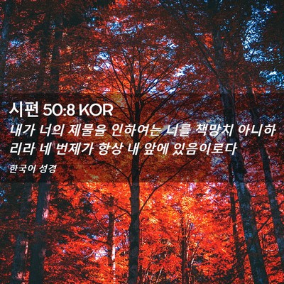 Picture 02 - 시편 50:8 KOR - 내가 너의 제물을 인하여는 너를 - Bible Verse Picture