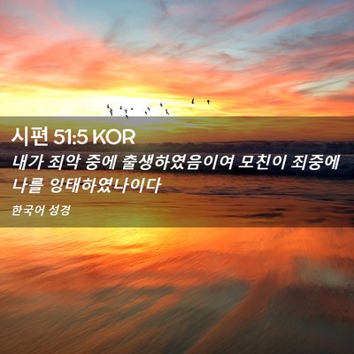 Picture 02 - 시편 51:5 KOR - 내가 죄악 중에 출생하였음이여 - Bible Verse Picture