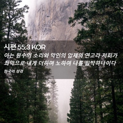 Picture 02 - 시편 55:3 KOR - 이는 원수의 소리와 악인의 압제의 - Bible Verse Picture