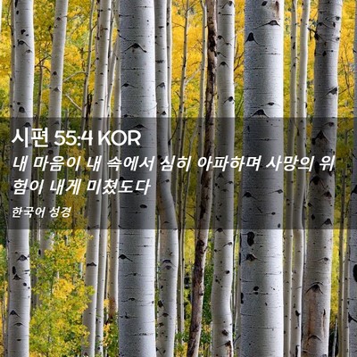 Picture 02 - 시편 55:4 KOR - 내 마음이 내 속에서 심히 아파하며 - Bible Verse Picture