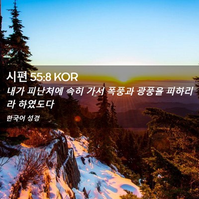 Picture 02 - 시편 55:8 KOR - 내가 피난처에 속히 가서 폭풍과 - Bible Verse Picture