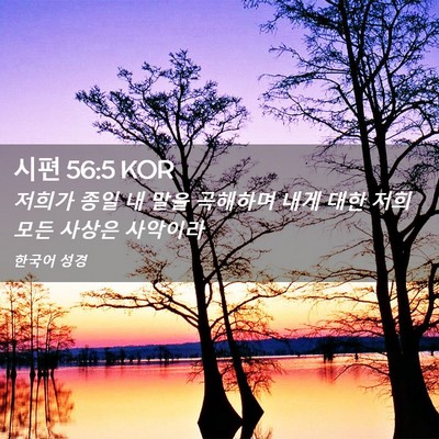 Picture 02 - 시편 56:5 KOR - 저희가 종일 내 말을 곡해하며 내게 - Bible Verse Picture