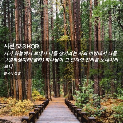 Picture 02 - 시편 57:3 KOR - 저가 하늘에서 보내사 나를 삼키려는 - Bible Verse Picture