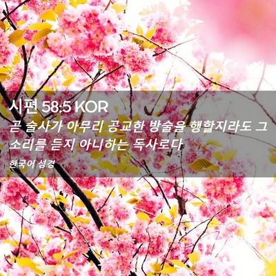 Picture 02 - 시편 58:5 KOR - 곧 술사가 아무리 공교한 방술을 - Bible Verse Picture
