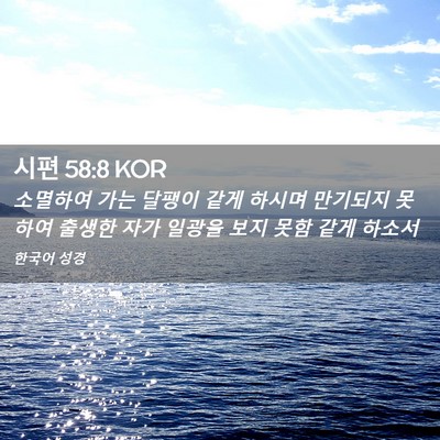Picture 02 - 시편 58:8 KOR - 소멸하여 가는 달팽이 같게 하시며 - Bible Verse Picture