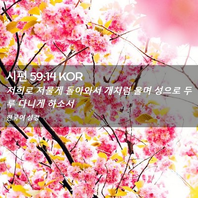 Picture 02 - 시편 59:14 KOR - 저희로 저물게 돌아와서 개처럼 울며 - Bible Verse Picture