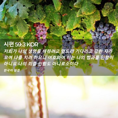 Picture 02 - 시편 59:3 KOR - 저희가 나의 생명을 해하려고 엎드려 - Bible Verse Picture