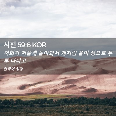 Picture 02 - 시편 59:6 KOR - 저희가 저물게 돌아와서 개처럼 울며 - Bible Verse Picture