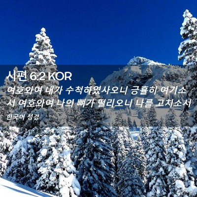 Picture 02 - 시편 6:2 KOR - 여호와여 내가 수척하였사오니 - Bible Verse Picture