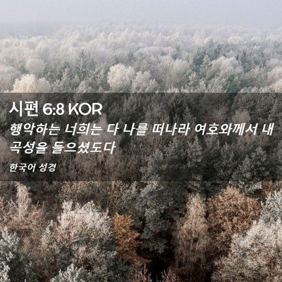 Picture 02 - 시편 6:8 KOR - 행악하는 너희는 다 나를 떠나라 - Bible Verse Picture
