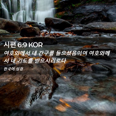 Picture 02 - 시편 6:9 KOR - 여호와께서 내 간구를 들으셨음이여 - Bible Verse Picture