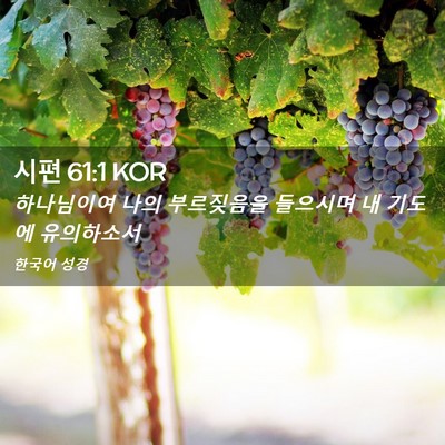 Picture 02 - 시편 61:1 KOR - 하나님이여 나의 부르짖음을 - Bible Verse Picture