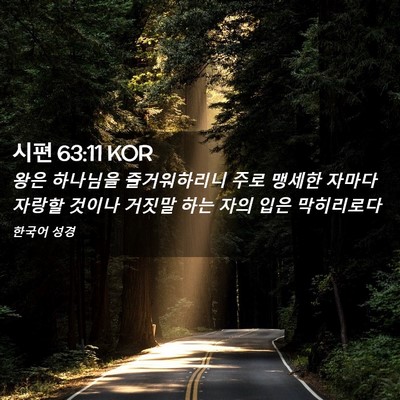 Picture 02 - 시편 63:11 KOR - 왕은 하나님을 즐거워하리니 주로 - Bible Verse Picture