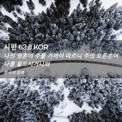 Picture 02 - 시편 63:8 KOR - 나의 영혼이 주를 가까이 따르니 - Bible Verse Picture