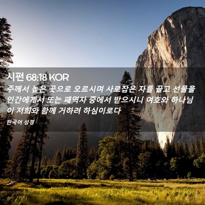 Picture 02 - 시편 68:18 KOR - 주께서 높은 곳으로 오르시며 - Bible Verse Picture