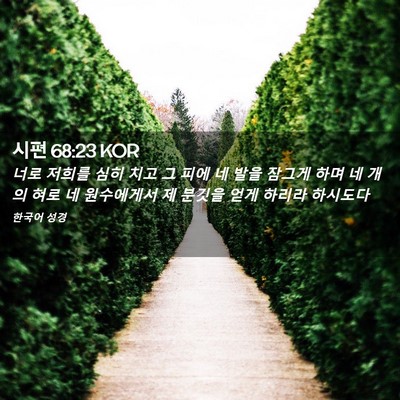 Picture 02 - 시편 68:23 KOR - 너로 저희를 심히 치고 그 피에 네 - Bible Verse Picture