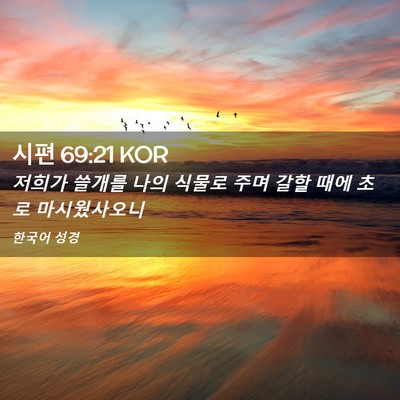 Picture 02 - 시편 69:21 KOR - 저희가 쓸개를 나의 식물로 주며 - Bible Verse Picture
