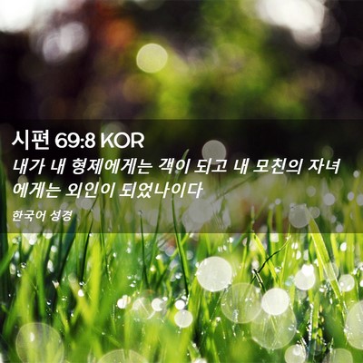 Picture 02 - 시편 69:8 KOR - 내가 내 형제에게는 객이 되고 내 - Bible Verse Picture