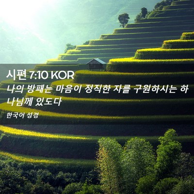 Picture 02 - 시편 7:10 KOR - 나의 방패는 마음이 정직한 자를 - Bible Verse Picture