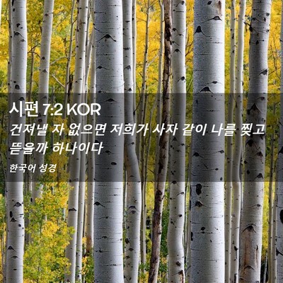 Picture 02 - 시편 7:2 KOR - 건져낼 자 없으면 저희가 사자 같이 - Bible Verse Picture