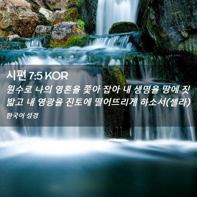 Picture 02 - 시편 7:5 KOR - 원수로 나의 영혼을 쫓아 잡아 내 - Bible Verse Picture