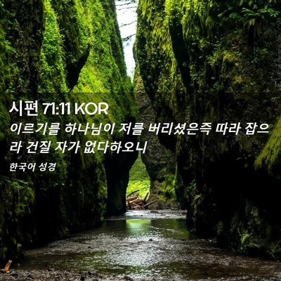 Picture 02 - 시편 71:11 KOR - 이르기를 하나님이 저를 버리셨은즉 - Bible Verse Picture