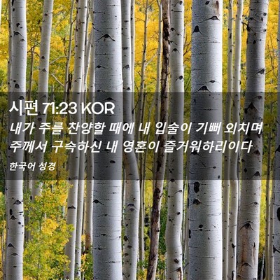 Picture 02 - 시편 71:23 KOR - 내가 주를 찬양할 때에 내 입술이 - Bible Verse Picture