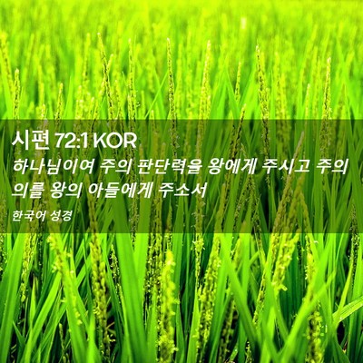 Picture 02 - 시편 72:1 KOR - 하나님이여 주의 판단력을 왕에게 - Bible Verse Picture