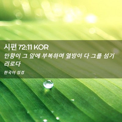 Picture 02 - 시편 72:11 KOR - 만왕이 그 앞에 부복하며 열방이 다 - Bible Verse Picture