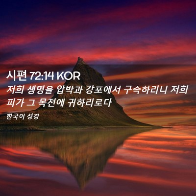 Picture 02 - 시편 72:14 KOR - 저희 생명을 압박과 강포에서 - Bible Verse Picture