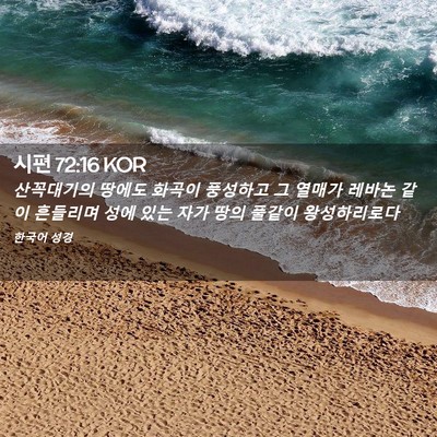 Picture 02 - 시편 72:16 KOR - 산꼭대기의 땅에도 화곡이 풍성하고 - Bible Verse Picture