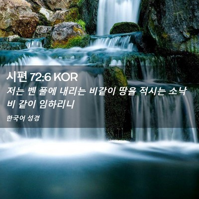 Picture 02 - 시편 72:6 KOR - 저는 벤 풀에 내리는 비같이 땅을 - Bible Verse Picture