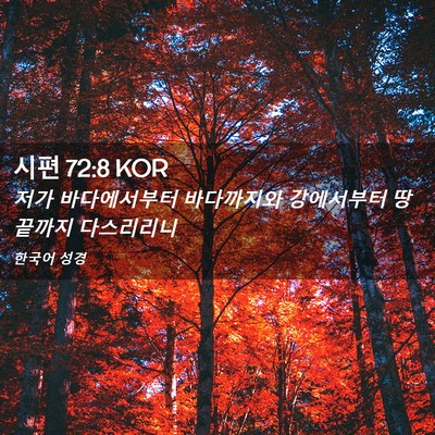 Picture 02 - 시편 72:8 KOR - 저가 바다에서부터 바다까지와 - Bible Verse Picture