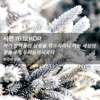 Picture 02 - 시편 76:12 KOR - 저가 방백들의 심령을 꺾으시리니 - Bible Verse Picture