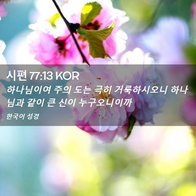Picture 02 - 시편 77:13 KOR - 하나님이여 주의 도는 극히 - Bible Verse Picture