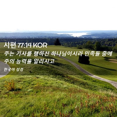 Picture 02 - 시편 77:14 KOR - 주는 기사를 행하신 하나님이시라 - Bible Verse Picture