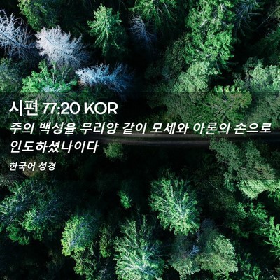 Picture 02 - 시편 77:20 KOR - 주의 백성을 무리양 같이 모세와 - Bible Verse Picture