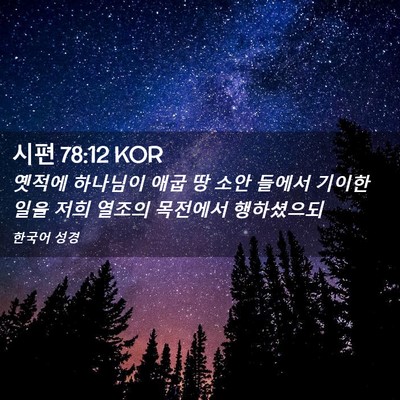 Picture 02 - 시편 78:12 KOR - 옛적에 하나님이 애굽 땅 소안 - Bible Verse Picture