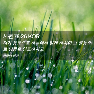 Picture 02 - 시편 78:26 KOR - 저가 동풍으로 하늘에서 일게 하시며 - Bible Verse Picture