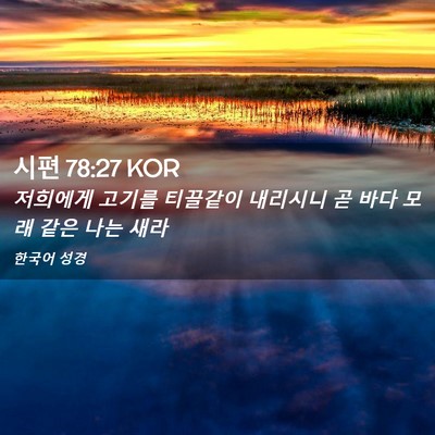 Picture 02 - 시편 78:27 KOR - 저희에게 고기를 티끌같이 내리시니 - Bible Verse Picture