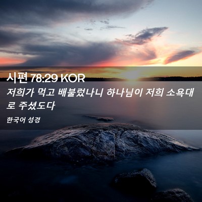 Picture 02 - 시편 78:29 KOR - 저희가 먹고 배불렀나니 하나님이 - Bible Verse Picture
