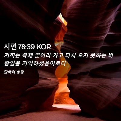 Picture 02 - 시편 78:39 KOR - 저희는 육체 뿐이라 가고 다시 오지 - Bible Verse Picture