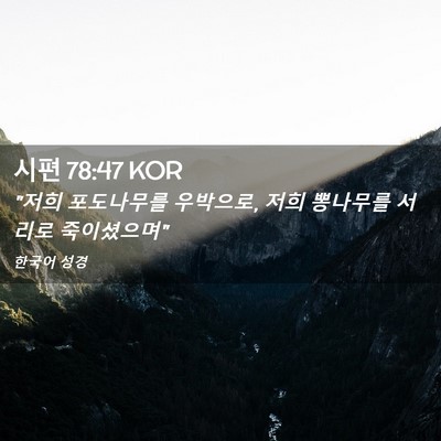 Picture 02 - 시편 78:47 KOR - 