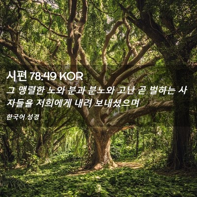 Picture 02 - 시편 78:49 KOR - 그 맹렬한 노와 분과 분노와 고난 곧 - Bible Verse Picture