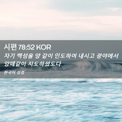 Picture 02 - 시편 78:52 KOR - 자기 백성을 양 같이 인도하여 - Bible Verse Picture